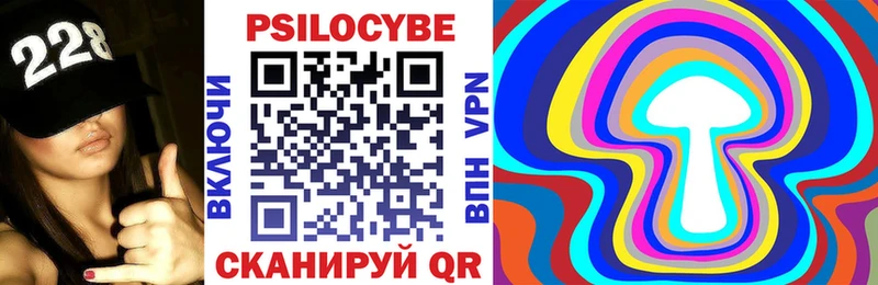 Псилоцибиновые грибы Psilocybe  наркотики  Яхрома 